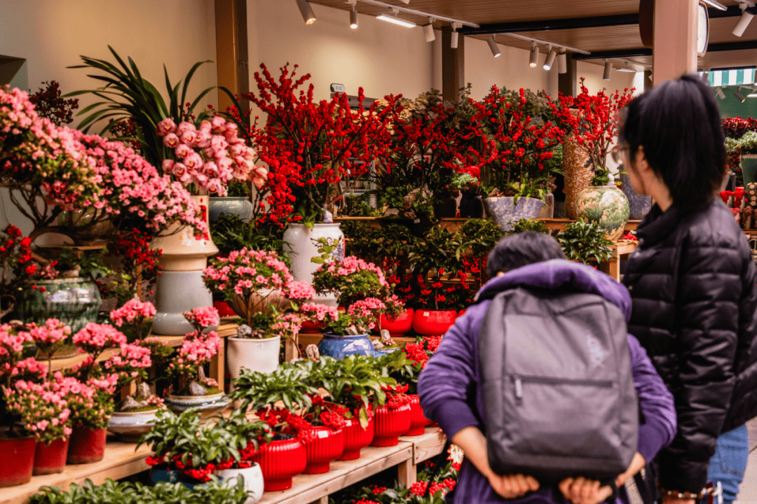 人保财险政银保 ,人保伴您前行_2026花卉种植行业市场分析及未来前景预测
