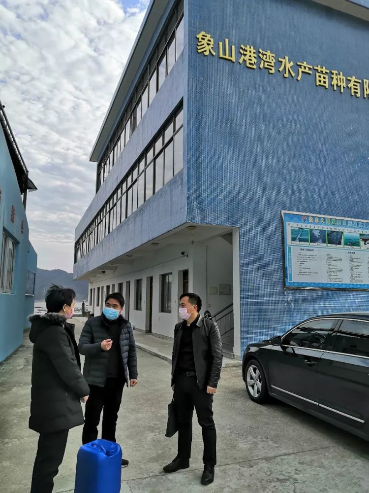 华联控股:截至2026年1月20日,公司的股东总人数45,147户