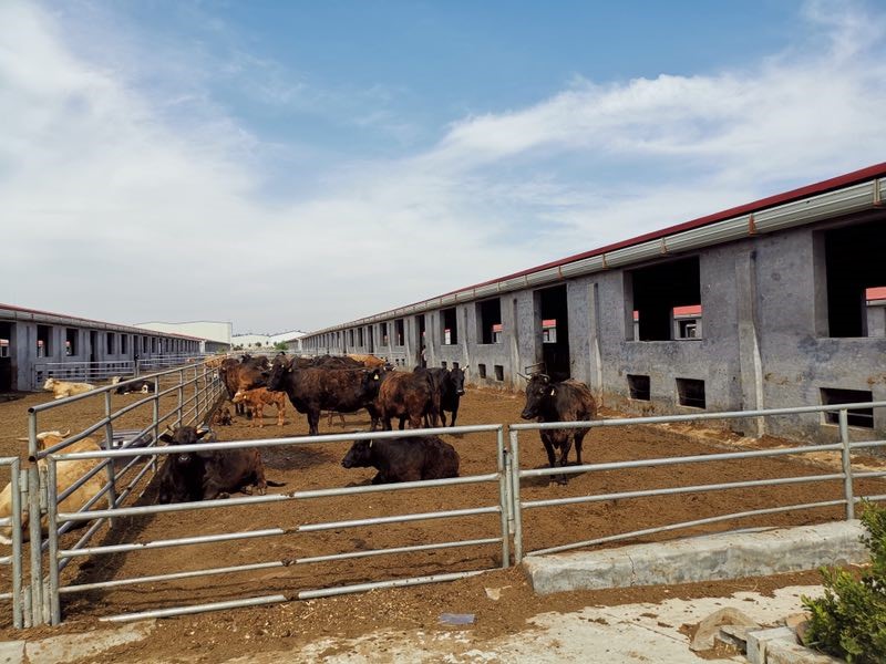 涉虚增存贷款规模等违规，恒丰银行郑州分行被罚款210万元