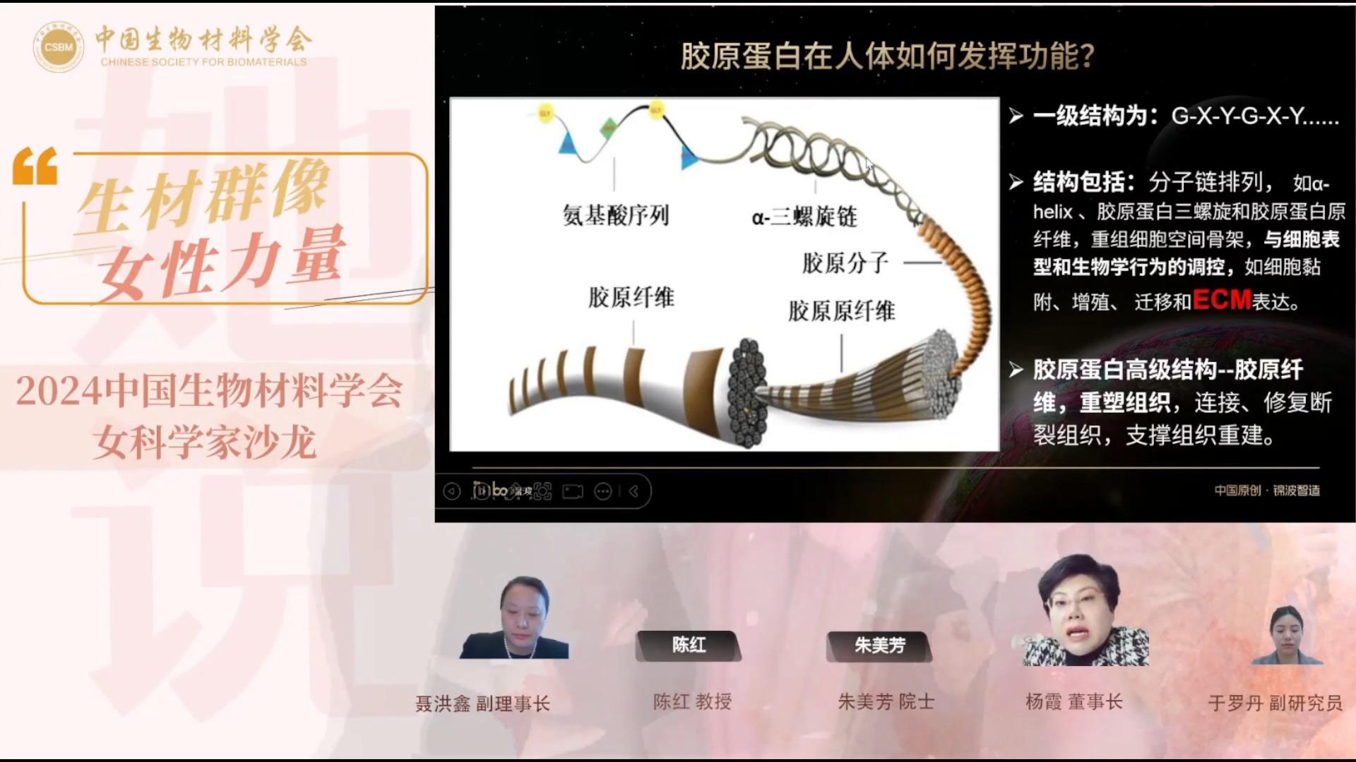 锦波生物获得发明专利授权：“重组VIII型人源化胶原蛋白及其用途”