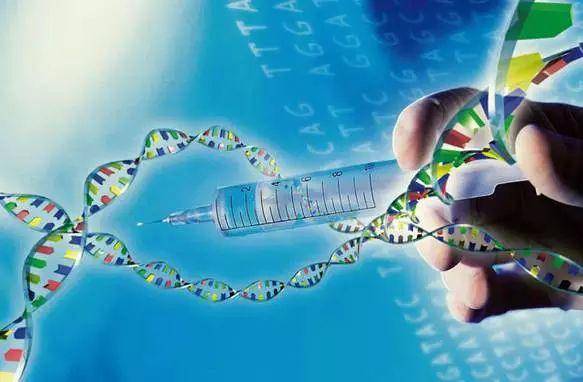 前沿生物公布国际专利申请：“一种用于抑制CIDEB基因表达的siRNA及其修饰物与应用”