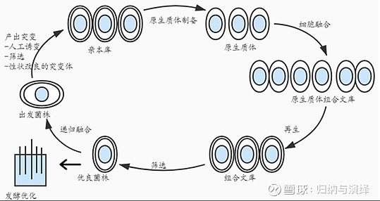 前沿生物公布国际专利申请：“一种用于抑制CIDEB基因表达的siRNA及其修饰物与应用”