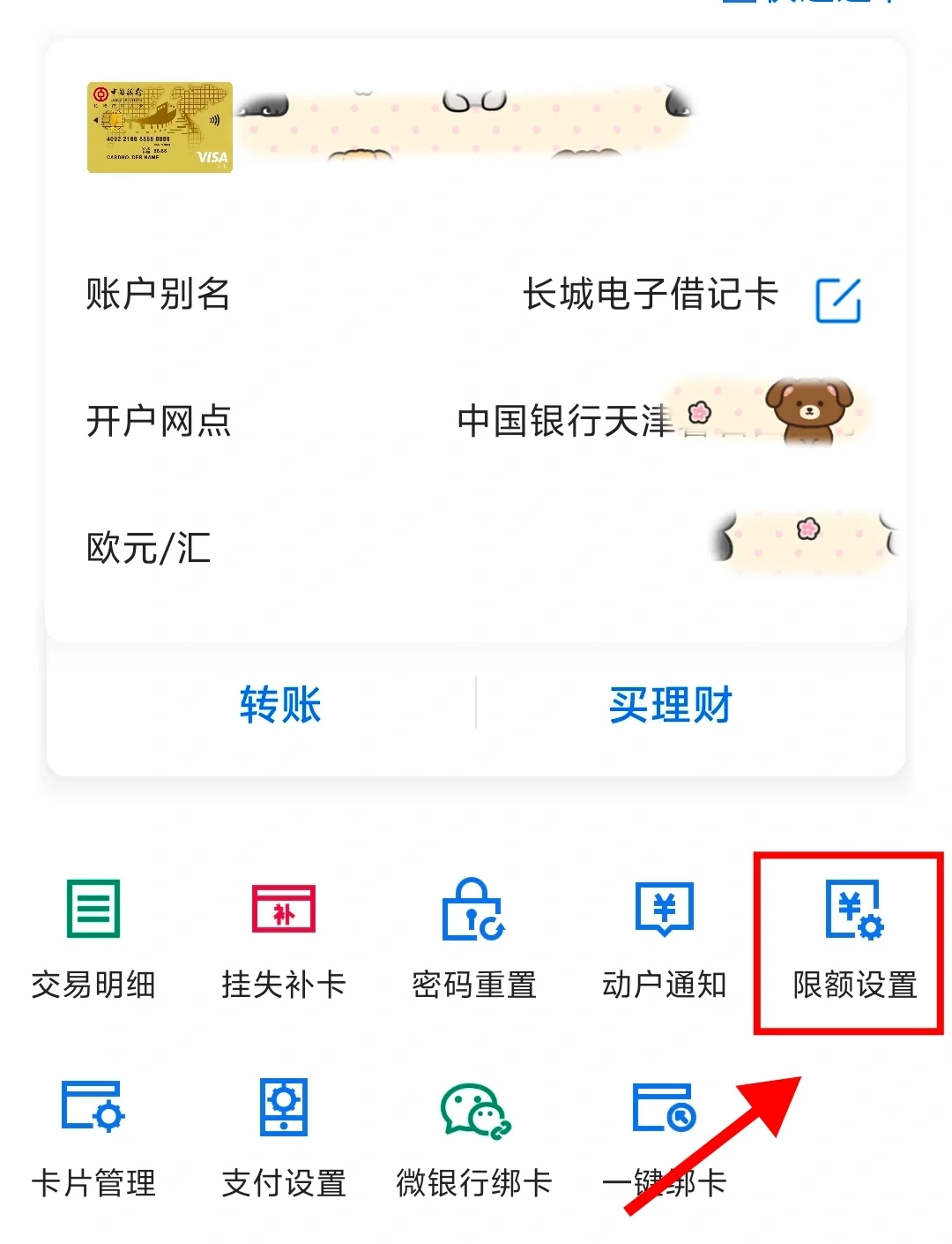 中国金融开放的一次战术推进 Visa通过Apple Pay打通服务接口