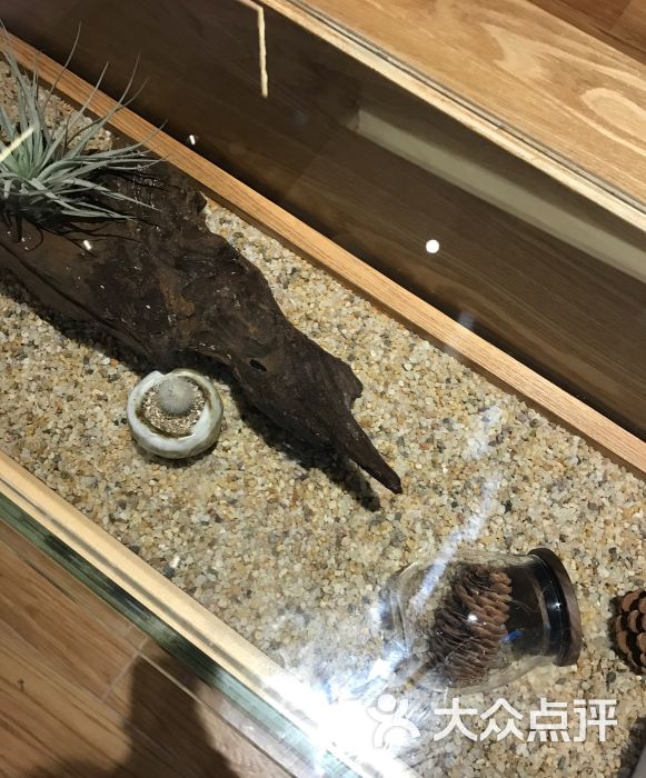 凯德石英2月9日龙虎榜数据