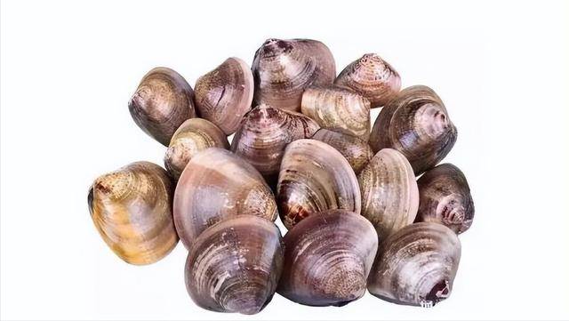 科学与健康丨南极“粮仓”！我国磷虾研究促进产业升级