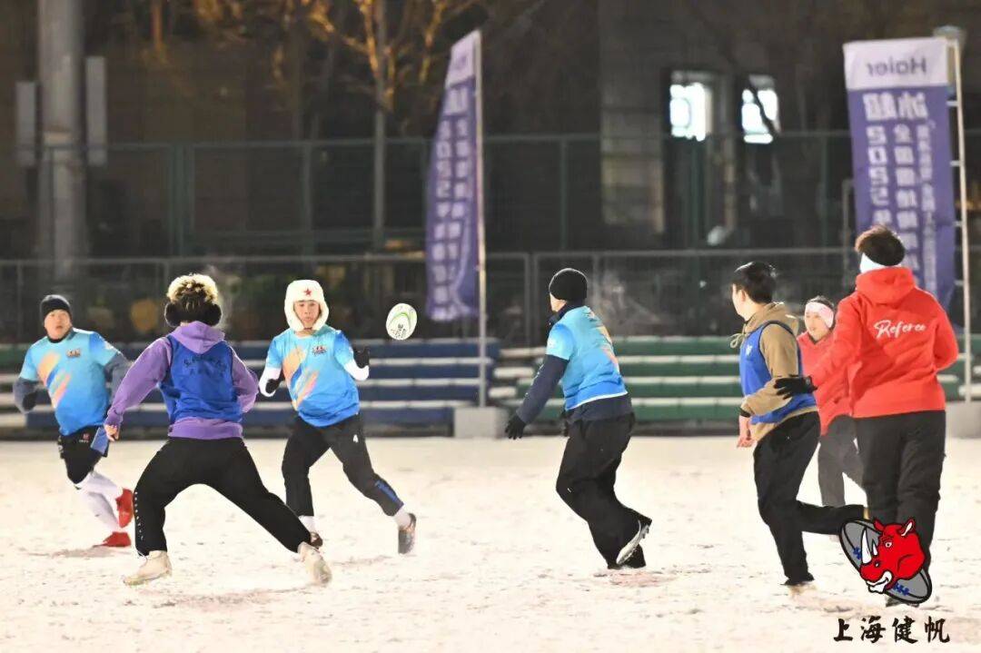 2026-2030年中国橄榄球行业发展前景及投资风险预测分析_人保服务 ,人保护你周全