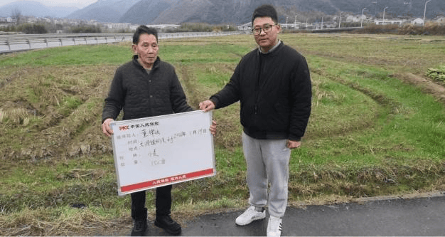 2026纤维胶产业：技术驱动，市场扩容_人保财险 ,人保有温度