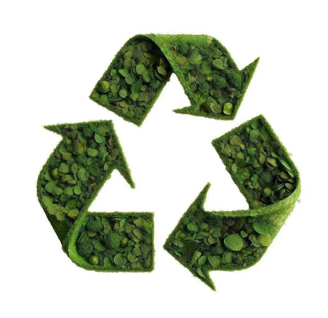 2026年绿色甲醇行业市场深度调研及投资战略研究_人保服务,人保车险