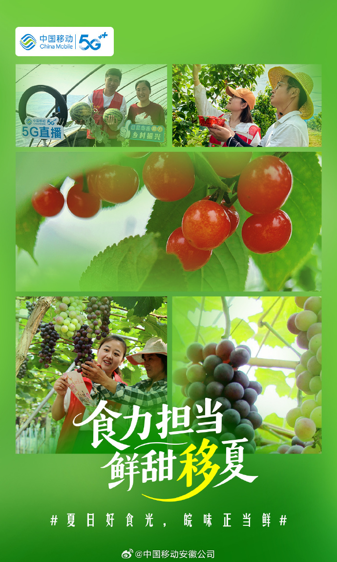 四部门：因地制宜打造休闲农业、乡村旅游、民宿经济、电商直播等新产业、新业态金融服务模式