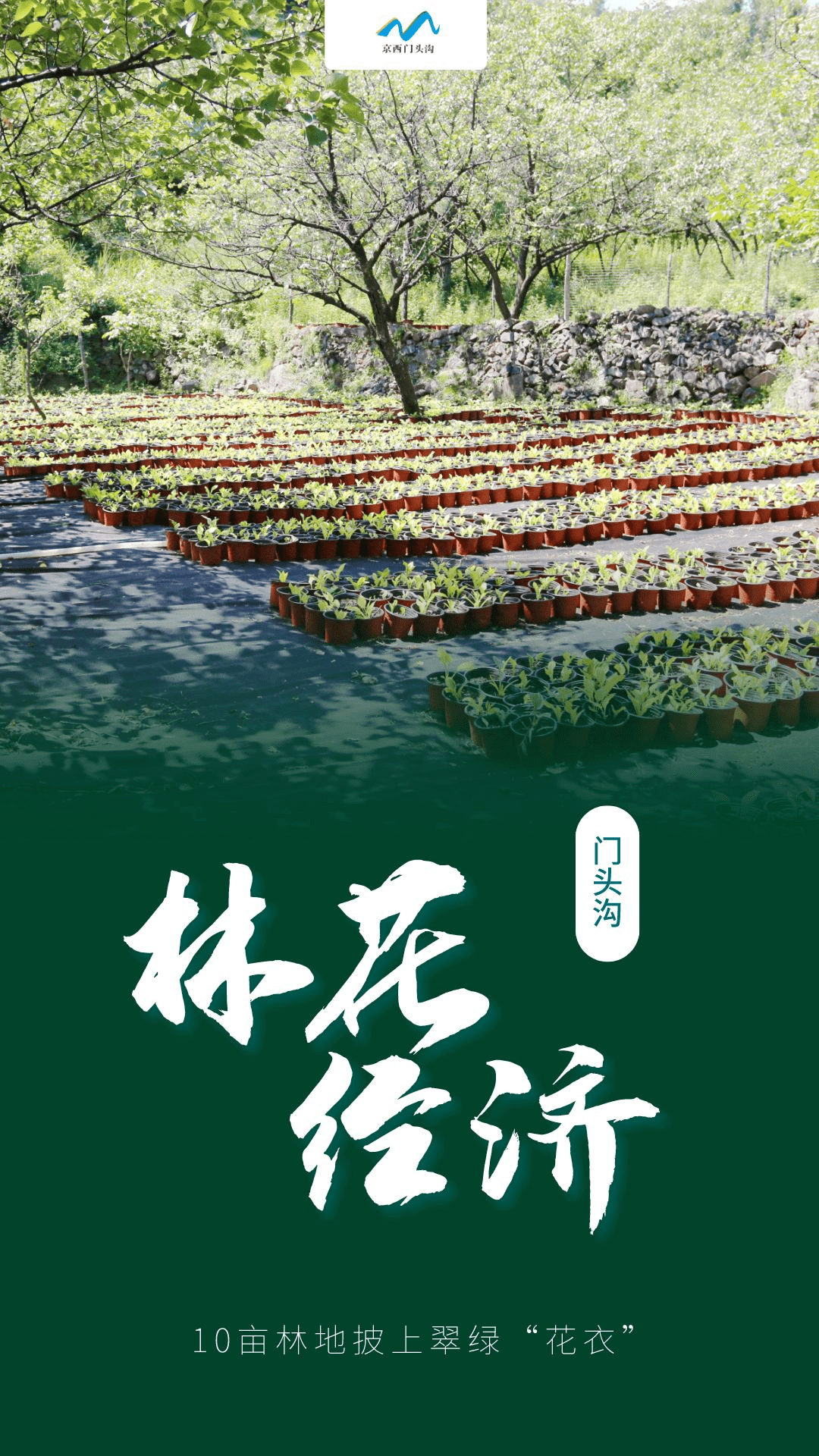 找准“甜密码” 深山小村“盛产”大学生