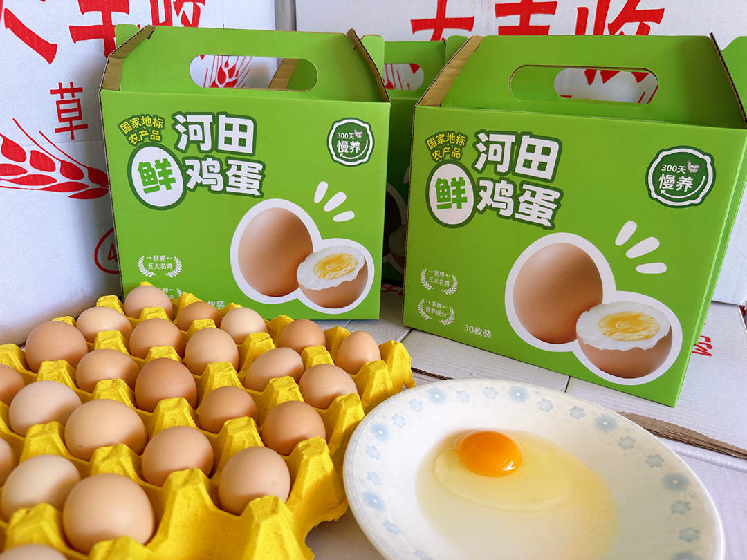 2026年中国叶腊石行业技术驱动与绿色转型下的投资新机遇_人保财险 ,人保护你周全