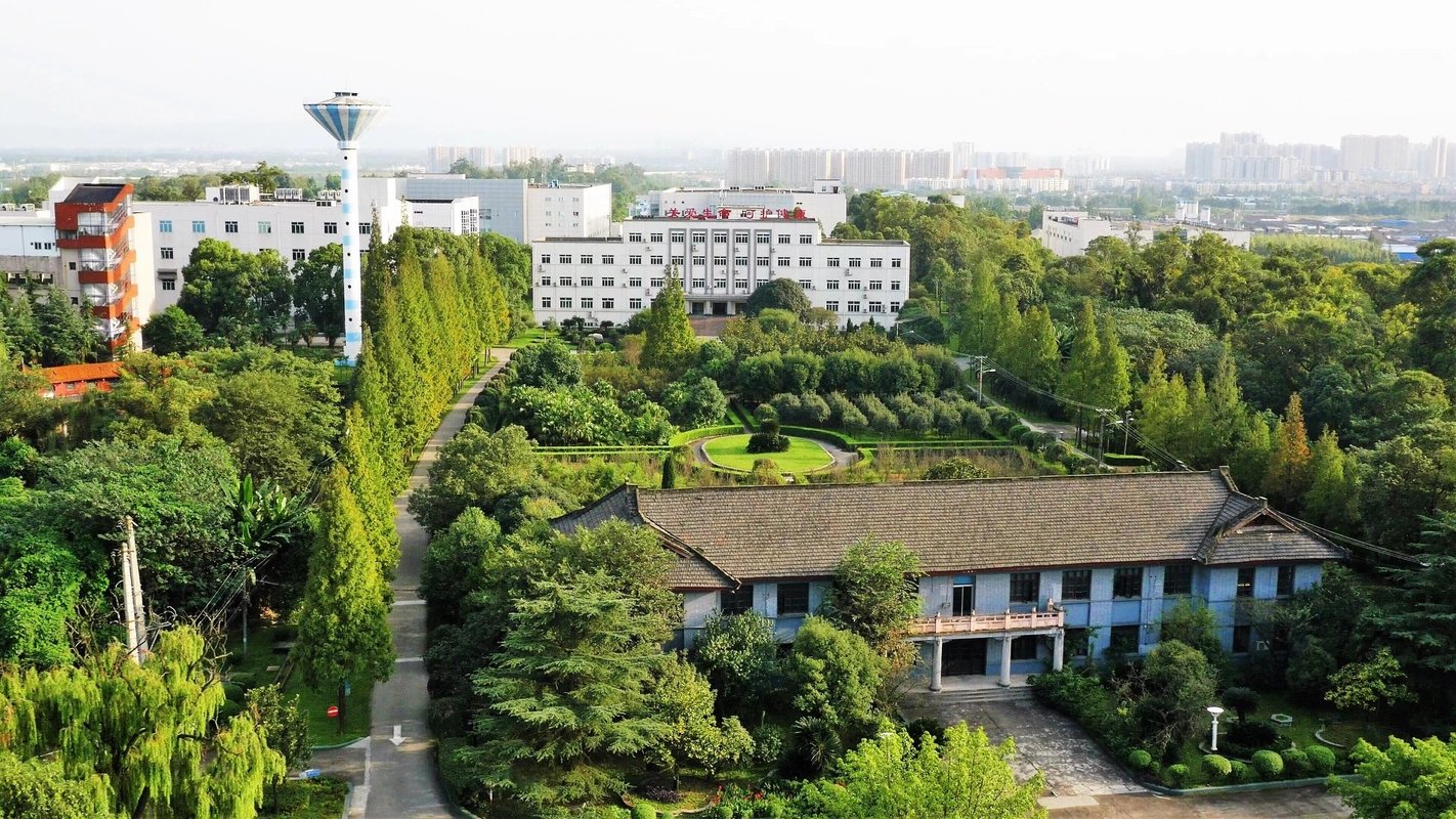 2026年中国叶腊石行业技术驱动与绿色转型下的投资新机遇_人保财险 ,人保护你周全