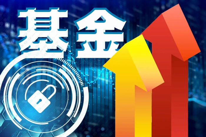 2月新发基金超900亿元 35只发起式基金成“最靓的仔”