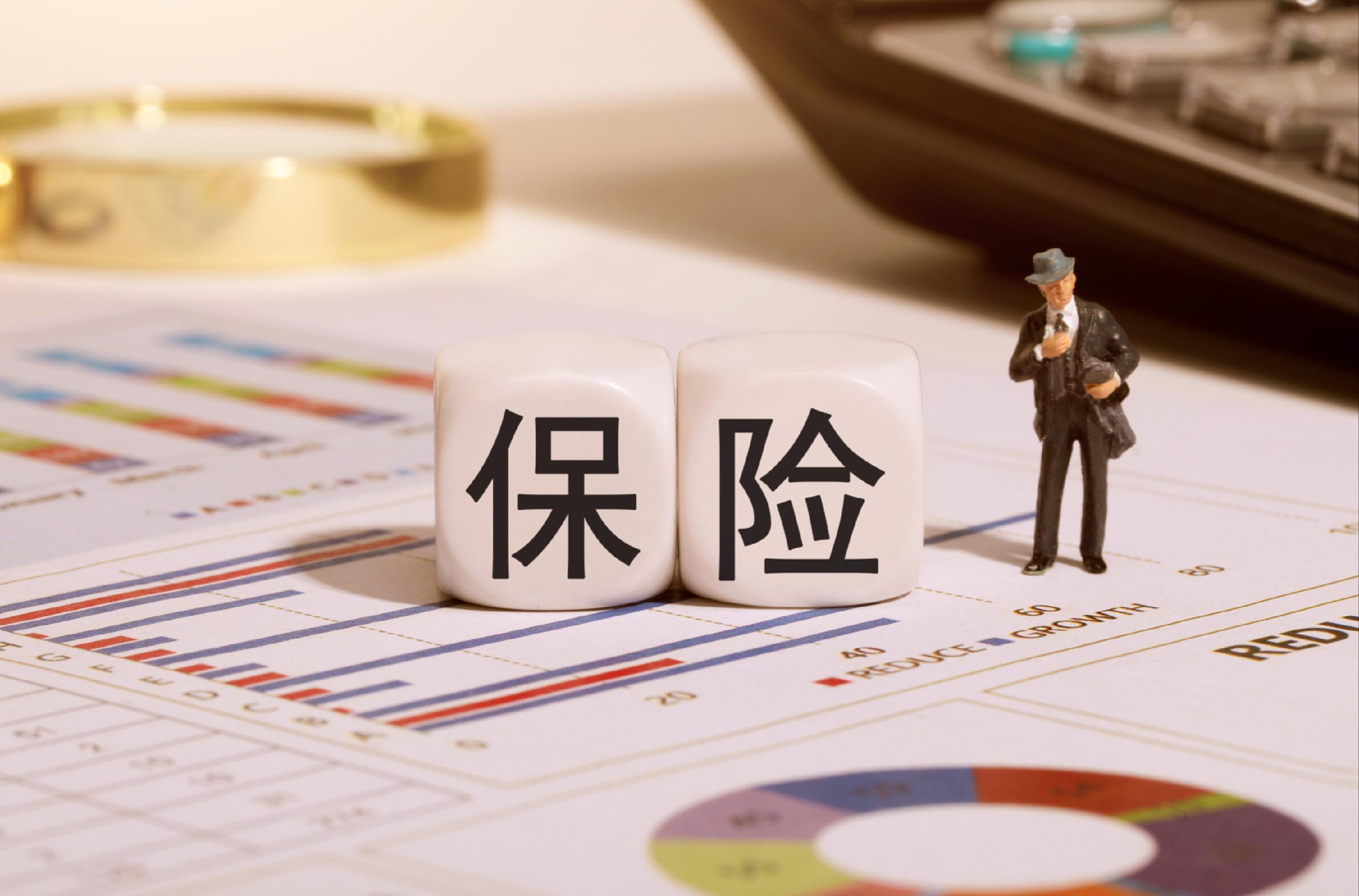 2026-2030年中国房产规划行业竞争格局及发展趋势预测分析_人保财险政银保 ,人保财险 