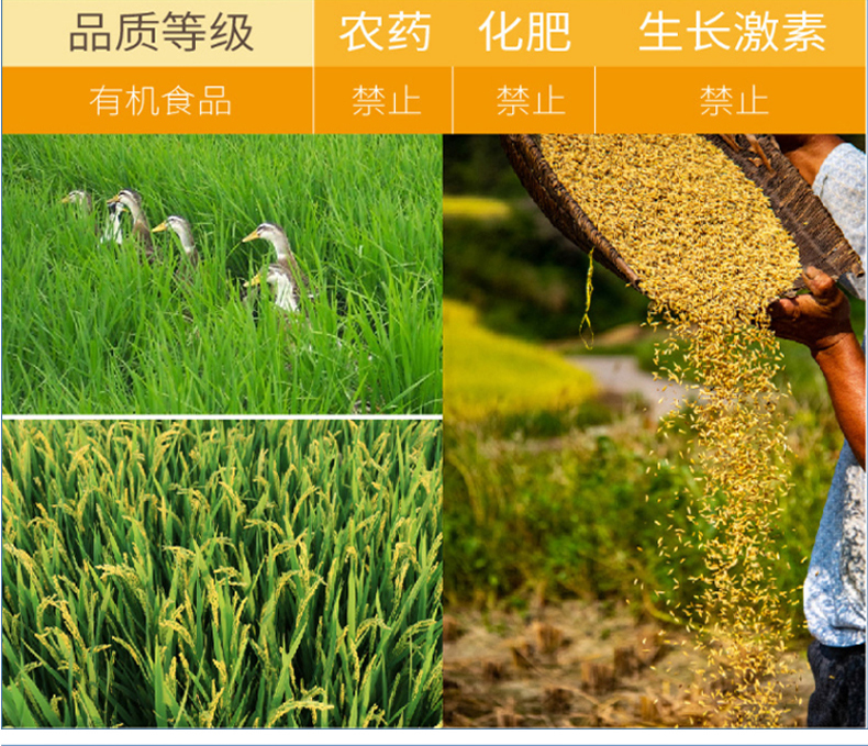 婴儿吃的“洋”辅食，九成靠代工贴牌？涉及上市公司