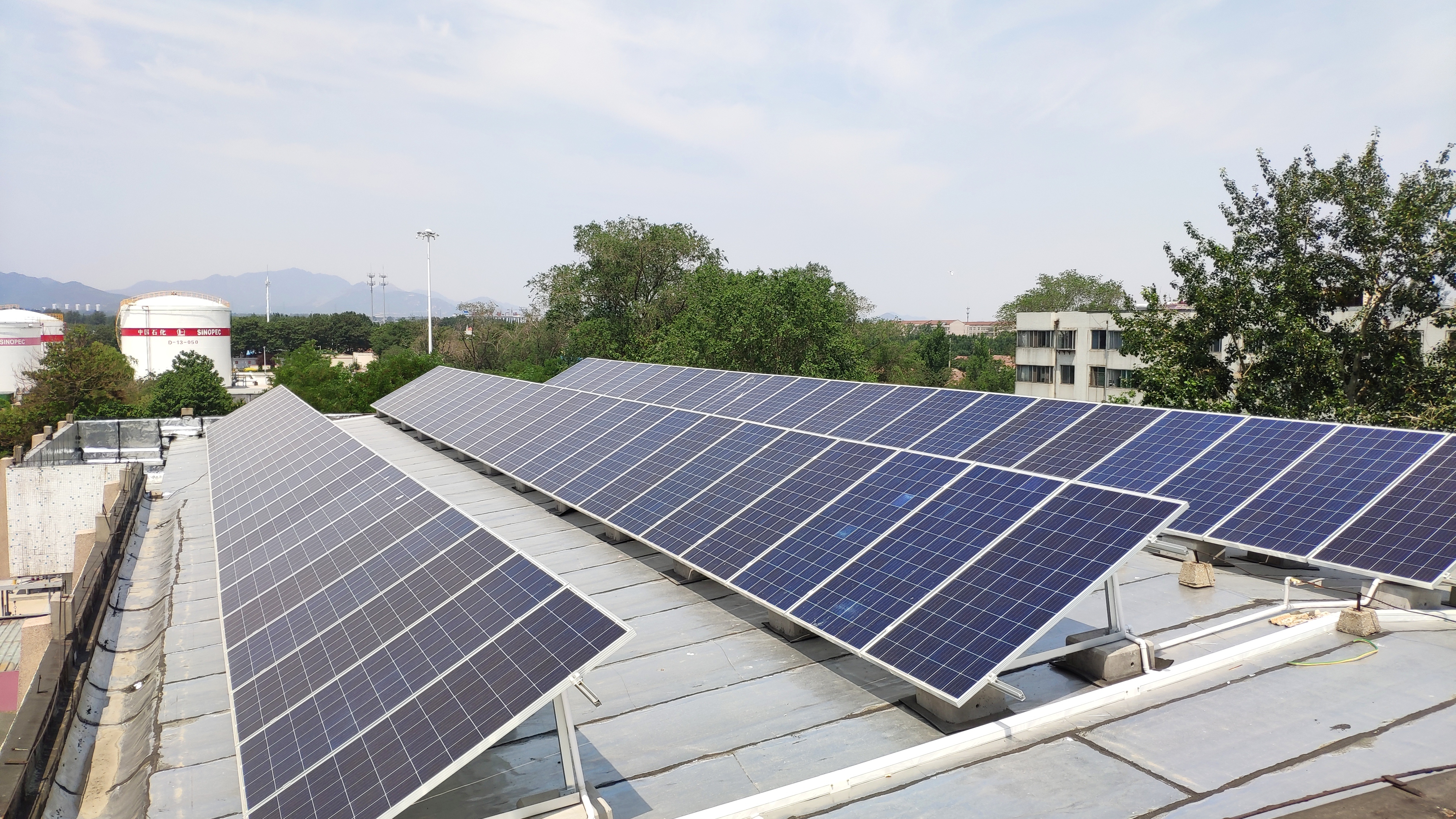 全国人大代表、九洲集团董事长李寅：推动分布式新能源就近消纳