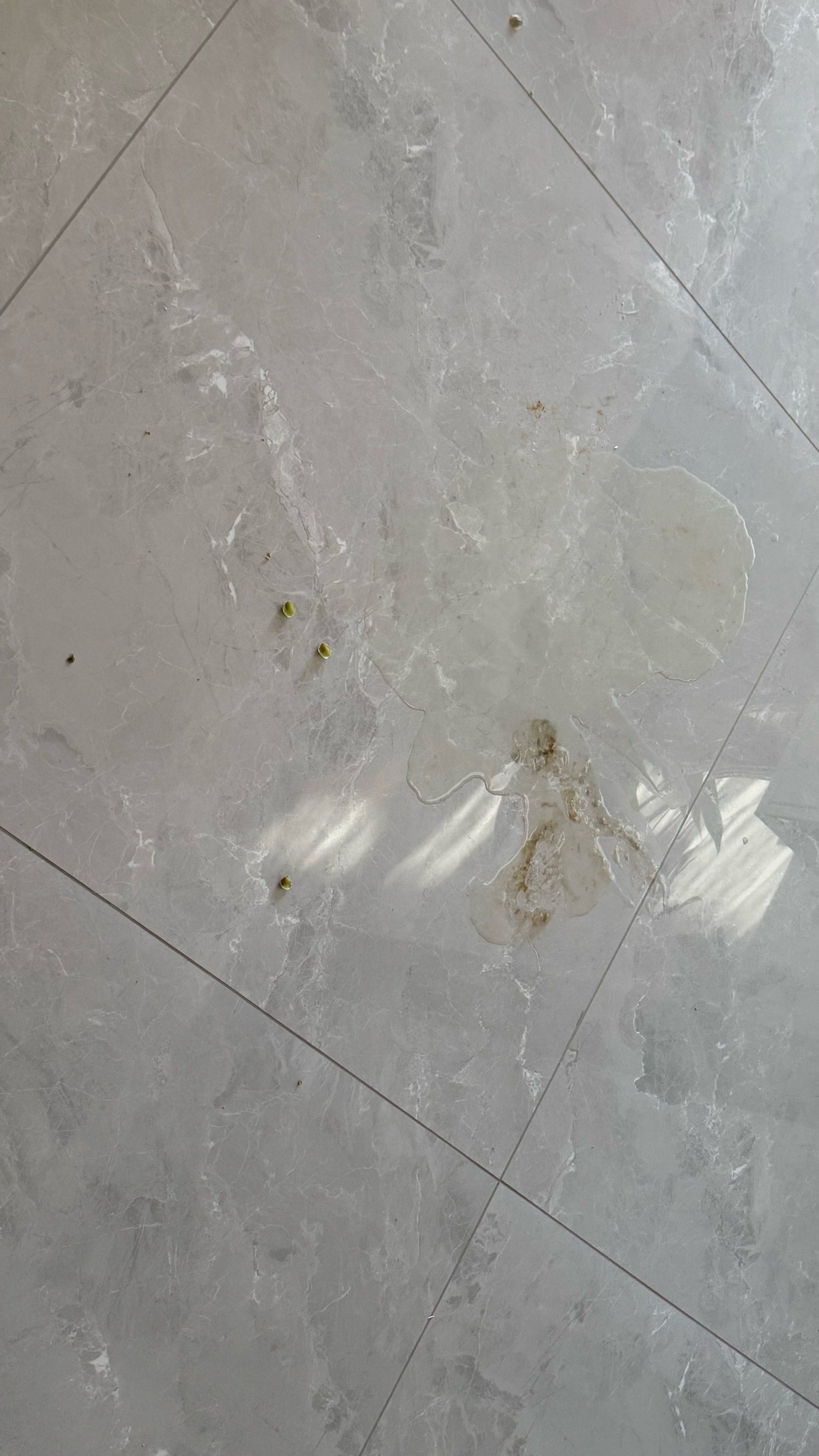 盈科律所：网传事件系梅向荣家人开办公司产生的问题