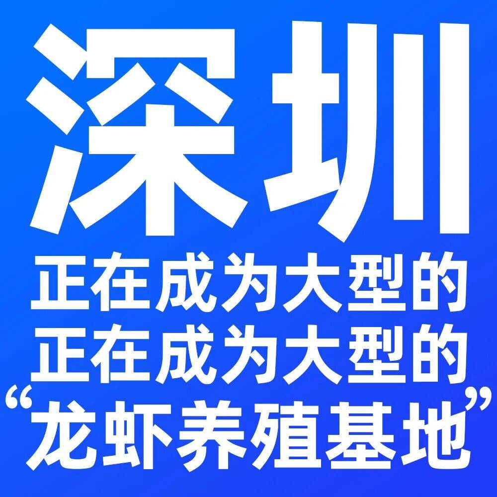 “龙虾热”开启AI产业竞速