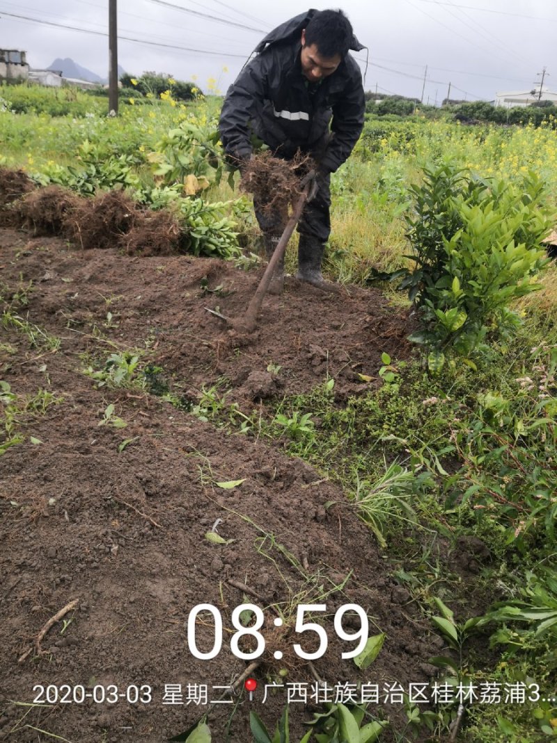 一亩田加速线下市场布局 旗下沃来采启动全国加盟