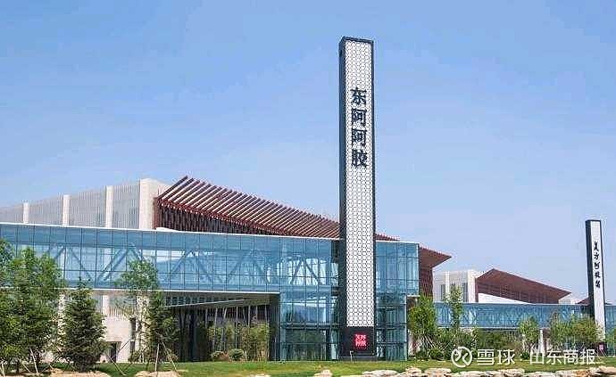 东阿阿胶（000423）2025年年报简析：营收净利润同比双双增长